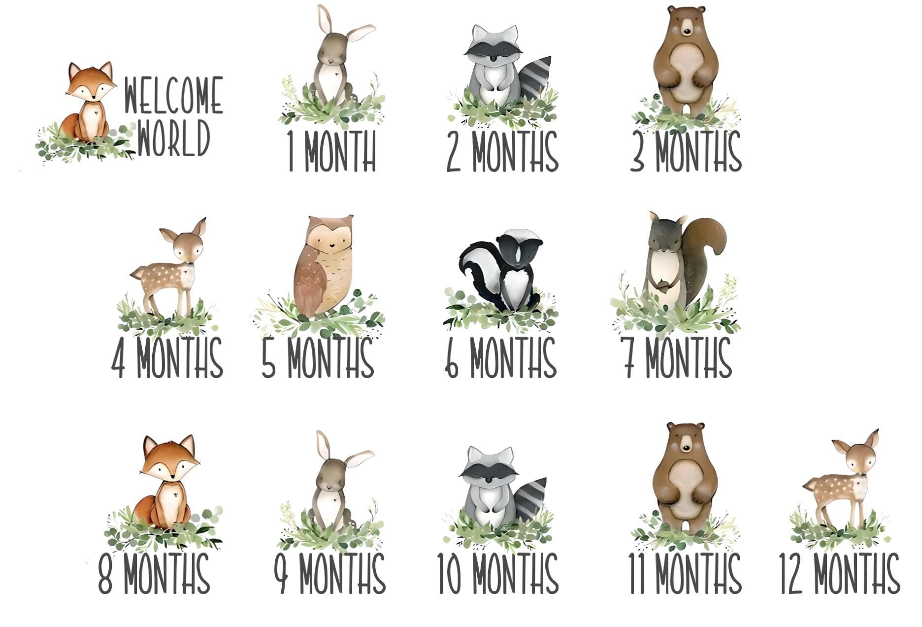 Baby month milestone discs with canvas pouch